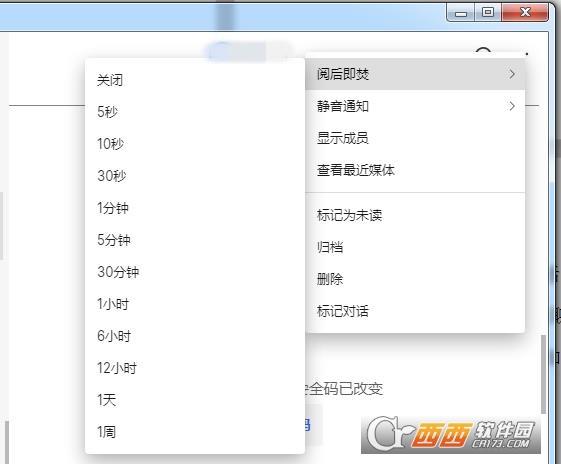 密电加密工具,加密通信,阅后即焚.