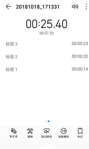 腕上录音app下载,腕上录音,手表app,录音appapp
