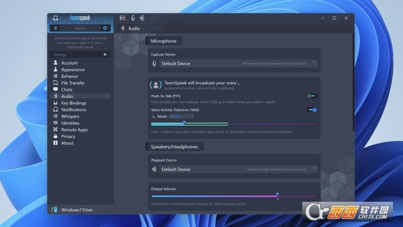 TeamSpeak,游戏语音,语音.